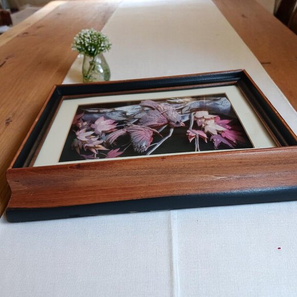 Vintage MCM Feather Art Shadow Box  3D Art Pastel Birds Artisan Handcrafted - Picture 6 of 15